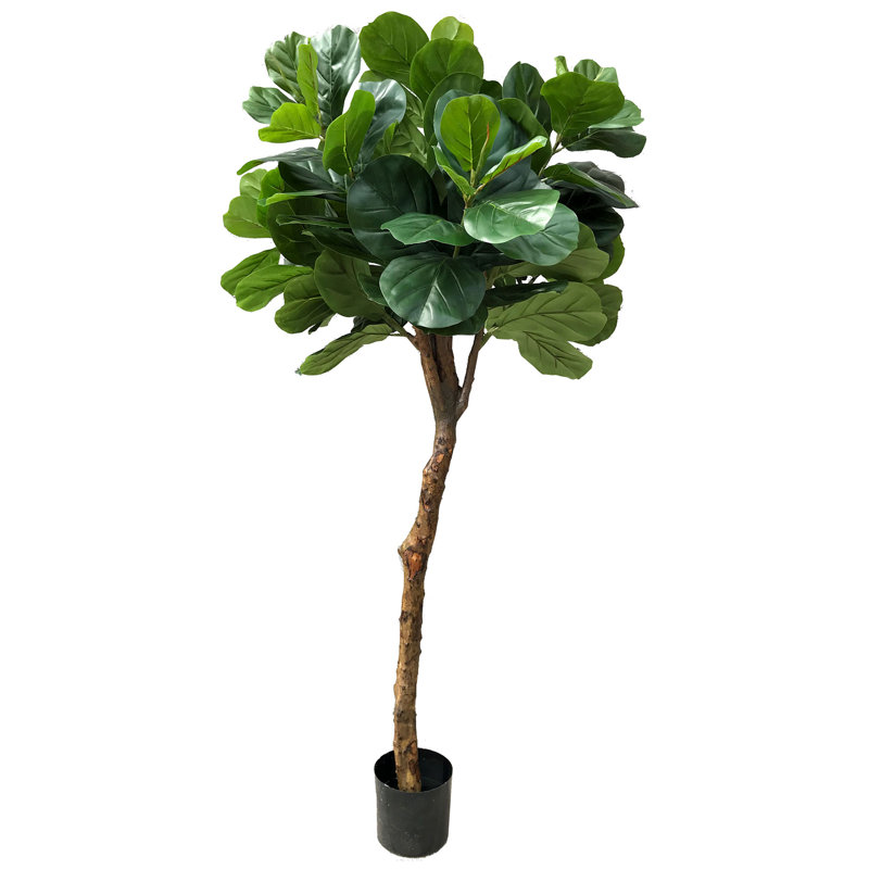 Gracie Oaks Real Touch Silk Fiddle Leaf Fig Tree in Pot & Reviews Wayfair